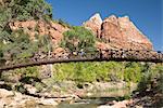 The Virgin River, foot bridge to access the Emerald Pools, Zion National Park, Utah, United States of America, North America