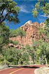 Zion Canyon Scenic Drive, in der Nähe von Zion Lodge, Zion Nationalpark, Utah, Vereinigte Staaten von Amerika, Nordamerika