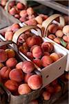 Fresh Harvested Peaches in Baskets, Hipple Farms, Beamsville, Ontario, Canada