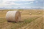 Heuballen im Weizenfeld, Rocky Mountains in Ferne, Pincher Creek, Alberta, Kanada