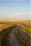 Schotterweg durch Heu Felder, Pincher Creek, Alberta, Kanada