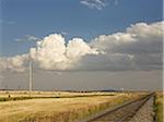 Overview of Farmland, Pincher Creek, Alberta, Canada