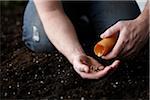 Planter des graines de capucine dans le jardin de l'homme