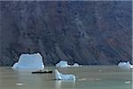 Iceberg et le navire de l'expédition, Scoresby Sund, Groenland