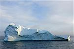 Iceberg en Scoresbysund, Groenland