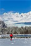 Person cross-country skiing in a winter landscape at Mendenhall River with Mendenhall Glacier and Towers in the background, Tongass National Forest, Southeast Alaska