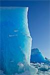 A wall of blue ice towers above hikers as they explore a huge iceberg frozen into the surface of Mendenhall Lake, Mendenhall Glacier, Juneau, Southeast Alaska, Winter