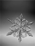 Photo-microscope view of a  snowflake with a star shape