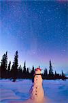 COMPOSITE, debout de bonhomme de neige dans un champ à la nuit tombante, hiver, large col, Parcs autoroute, centre-sud de l'Alaska