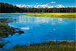 Die gewundenen Fluss Bartlett unter Schnee bedeckt Fairweather Berge an einem sonnigen Tag, Glacier Bay Nationalpark & Preserve, Southeast Alaska, Sommer