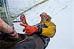 Pêcheur commercial picks saumons large filet maillant sur un site net set dans l'été de la rivière Naknek, baie de Bristol, Alaska,
