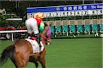 Horse racing in Happy Valley race course, Hong Kong