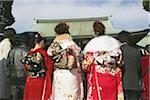 New year at Meiji Shrine, Tokyo, Japan