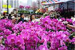 Menschen einkaufen bei Chinese New Year Blume Markt, Causeway Bay, Hong Kong