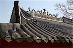 Engravings on the roof of the temple at Tsing Shan temple, New Territories, Hong Kong