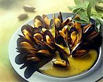 mussels in saffron cream