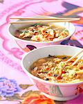 Chinesische Ravioli Suppe und thailändische Hühnersuppe mit Fadennudeln Soja