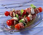 Brochettes de kebab