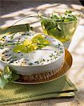 celery cheesecake