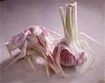 pink garlic