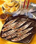 Grilled sardines