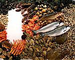 selection of sea food, fish and shellfish