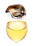 Oyster and glass of white wine