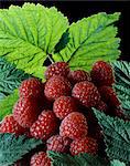 Raspberries and leaves