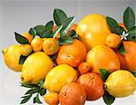 Citrus fruit