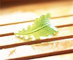 Green leaf on wooden slats