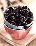 Blackcurrants