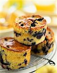 Blueberry muffins