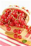 basket of redcurrants