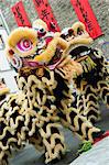Lion dance in celebration of Chinese new year