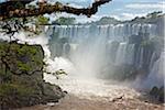 Un canot pneumatique emmène les visiteurs dans l'eau blanche en bas de l'une des chutes d'Iguazu spectaculaire du Parc National d'Iguazu, patrimoine de l'humanité. Argentine
