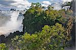 The spectacular Iguazu Falls of the IguazuNational Park, a World Heritage Site, with a Black Vulture in a nearby tree. Argentina