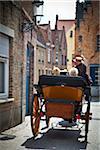 Tours en calèches de cheval dans le centre de Bruges, Flandre, Belgique