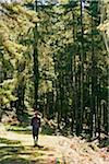 A young Bhutanese man walking in the forest in Phobjika Valley.