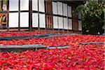 Bright red chillies drying on the roof of a house in Jakar.