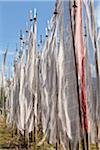 Fluttering prayer flags at Kurjey Lhakhang, the final resting place of the remains of the first three kings of Bhutan.