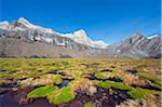 South America, Colombia, El Cocuy National Park, Valle de los Cojines