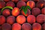 Croatia, Split, Central Europe. Peaches at the market