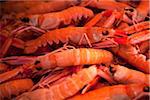 Croatia, Split, Central Europe. Shrimps for sale at the fish market