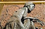 Europe, Scandinavia, Denmark, Jutland, Silkeborg, preserved body of the Tollund Man, hung to death in 300 BC, Silkeborg Museum