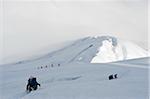 South America, Ecuador, Volcan Cotopaxi (5897m), highest active volcano in the world, climbers roped up on the mountain