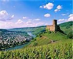 Germany, Rhineland-Palatinate, Landshut casle