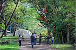 L'Amérique centrale, le Honduras, ruines de Copan, Ara au site archéologique Maya, ruines de Copán, l'Unesco patrimoine mondial, aras rouges volant dans la jungle