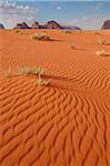 Desert Landscape in the Wadi Rum, Jordan