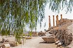 Jerash, située à 48 kilomètres au nord d'Amman est considéré comme un des sites plus grands et le plus bien préservés d'architecture romaine dans le monde, Jordanie