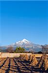 North America, Mexico, Tiachichuca, Pico de Orizaba (5610m); highest mountain in Mexico